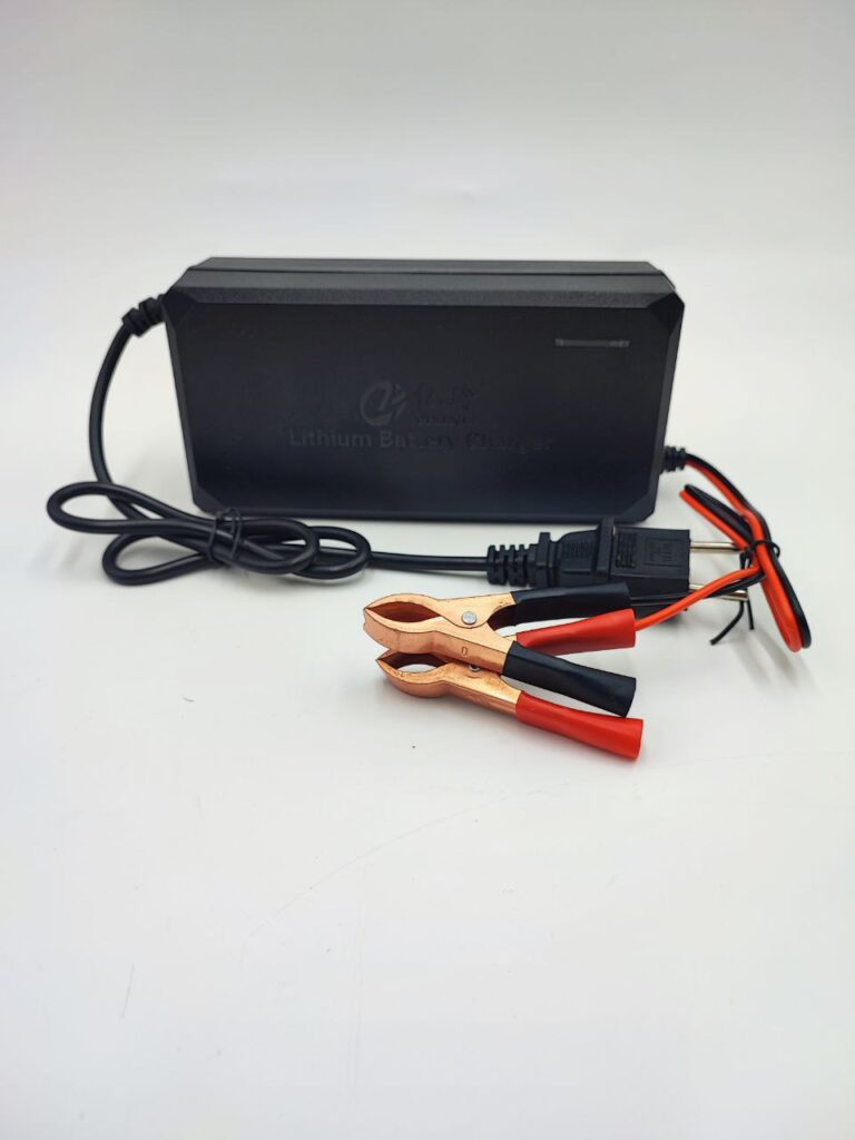 Зарядные устройства 12 вольт — купить зарядку 12V для литиевых ...